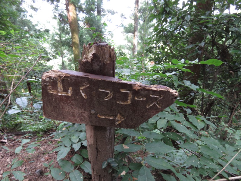 破風山、皆野アルプス