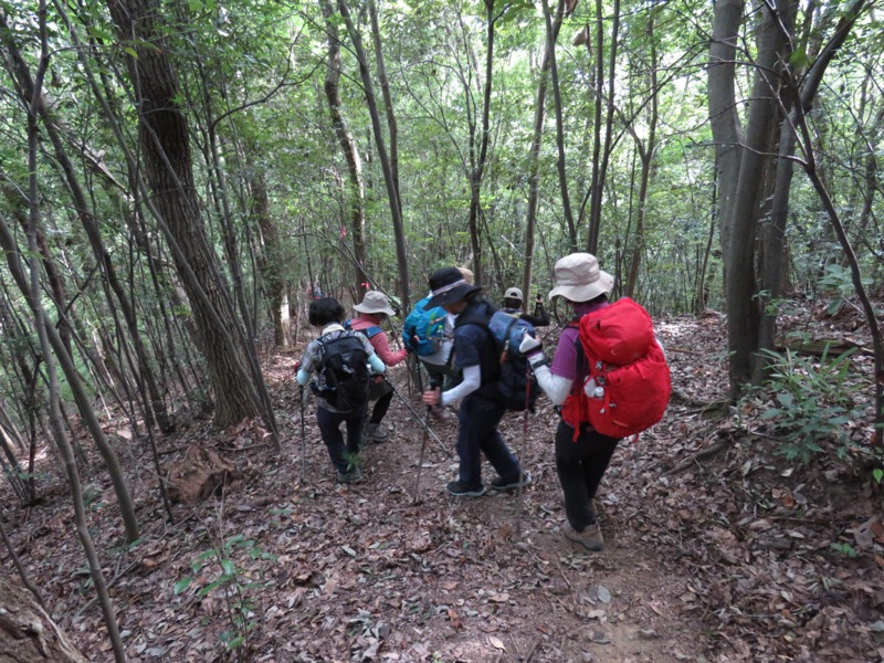 破風山、皆野アルプス