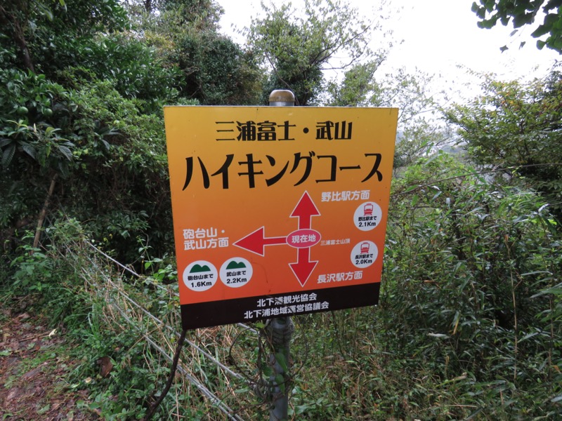 三浦富士