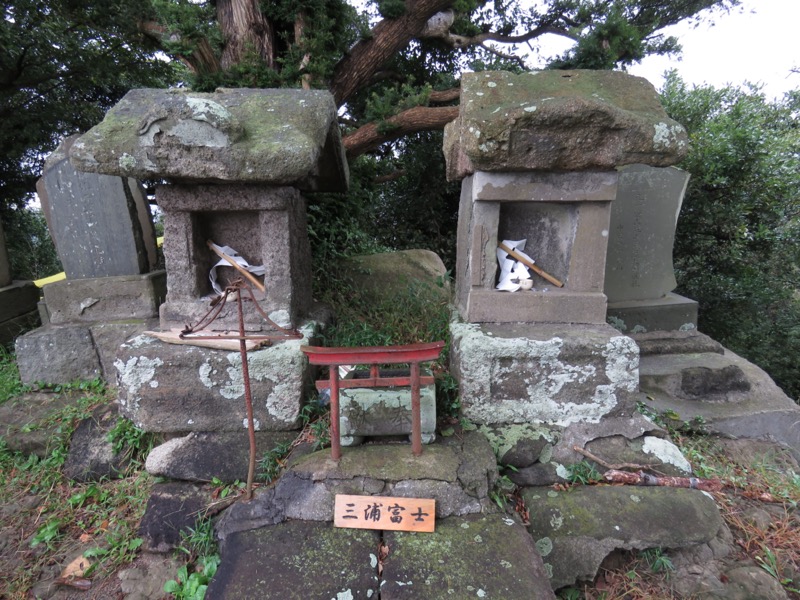 三浦富士