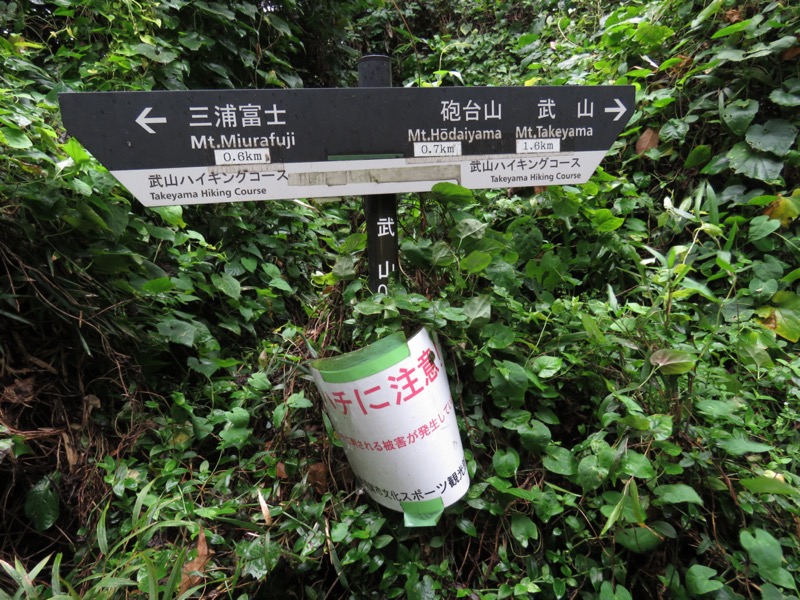 三浦富士
