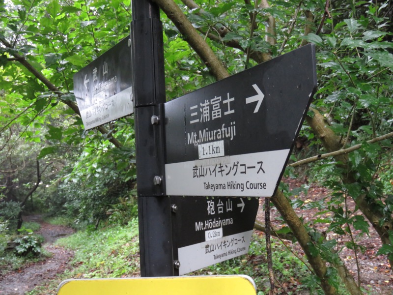 三浦富士