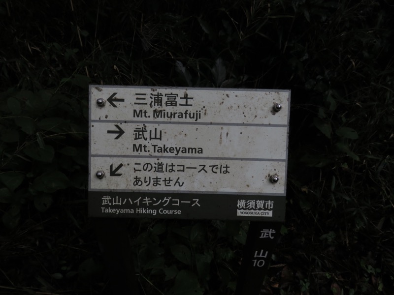 三浦富士
