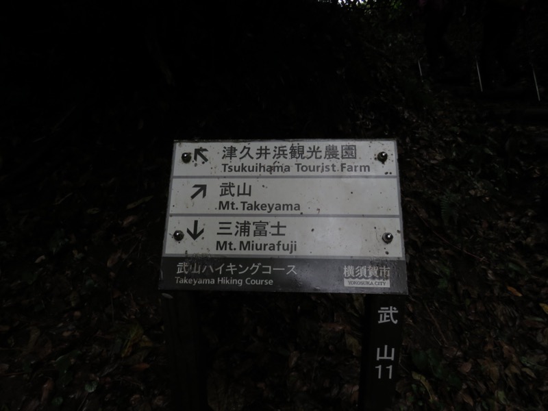 三浦富士