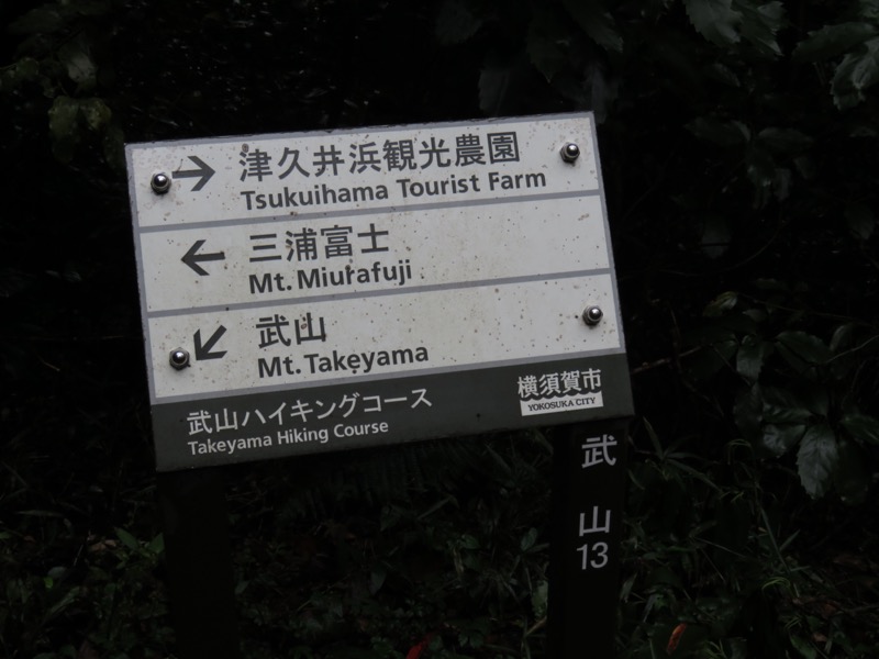 三浦富士