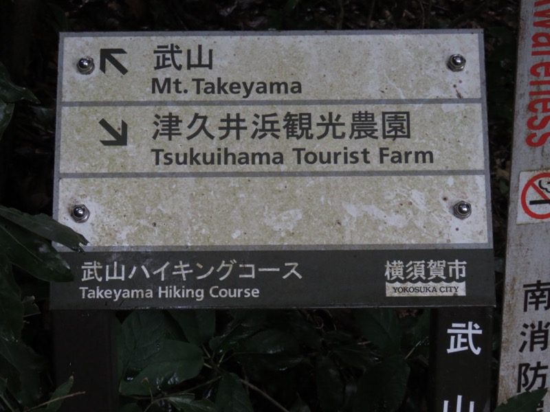 三浦富士