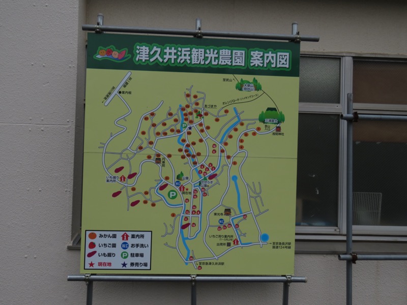 三浦富士