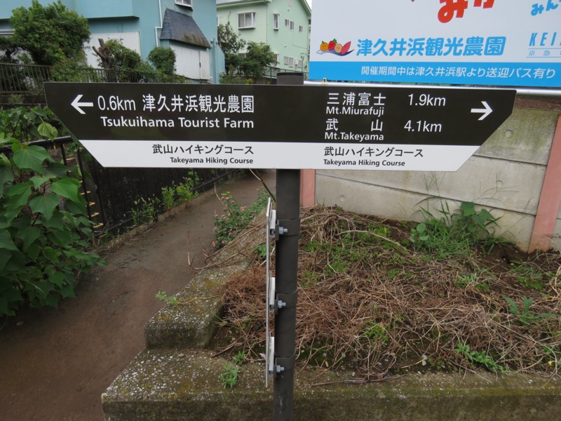 三浦富士