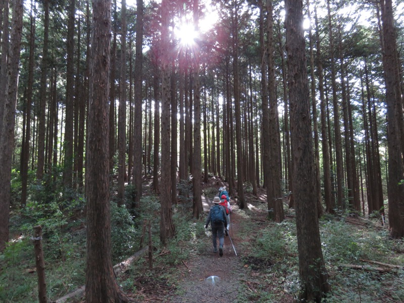 幕山