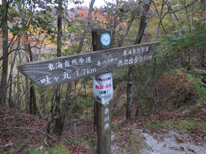 畦ヶ丸