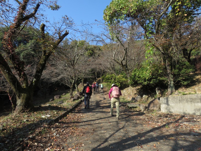 要害山