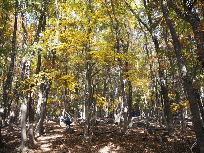 要害山