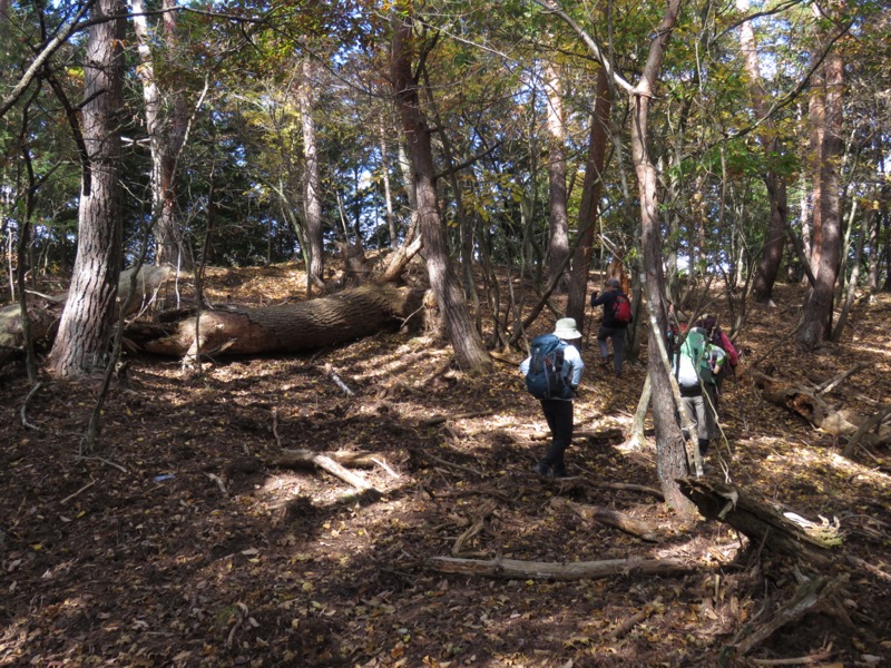 要害山