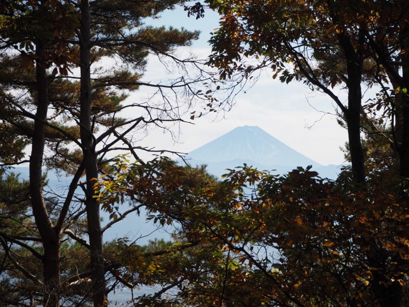 要害山