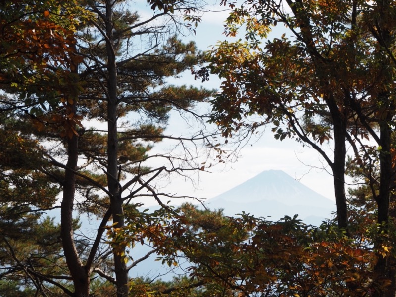 要害山