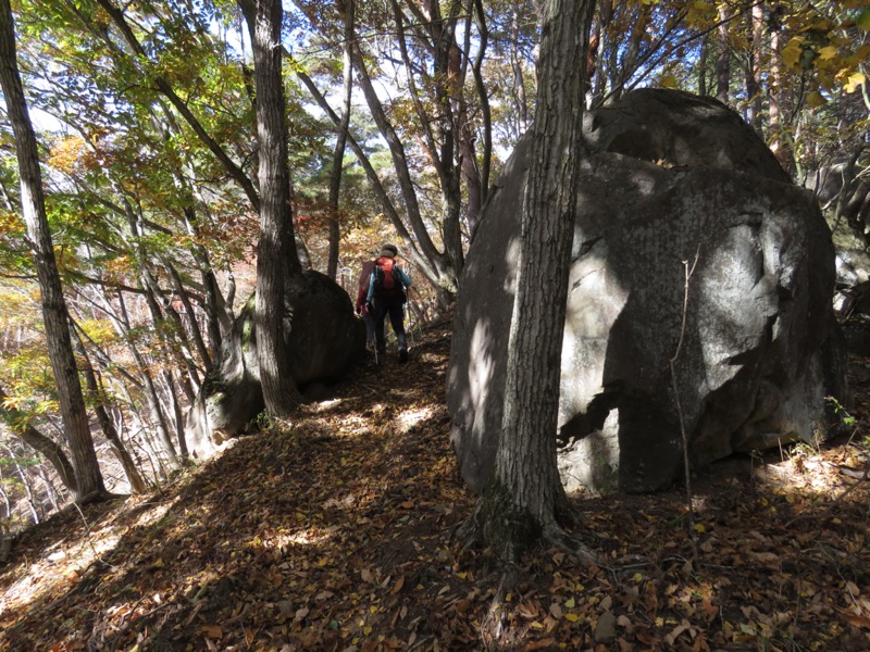 要害山