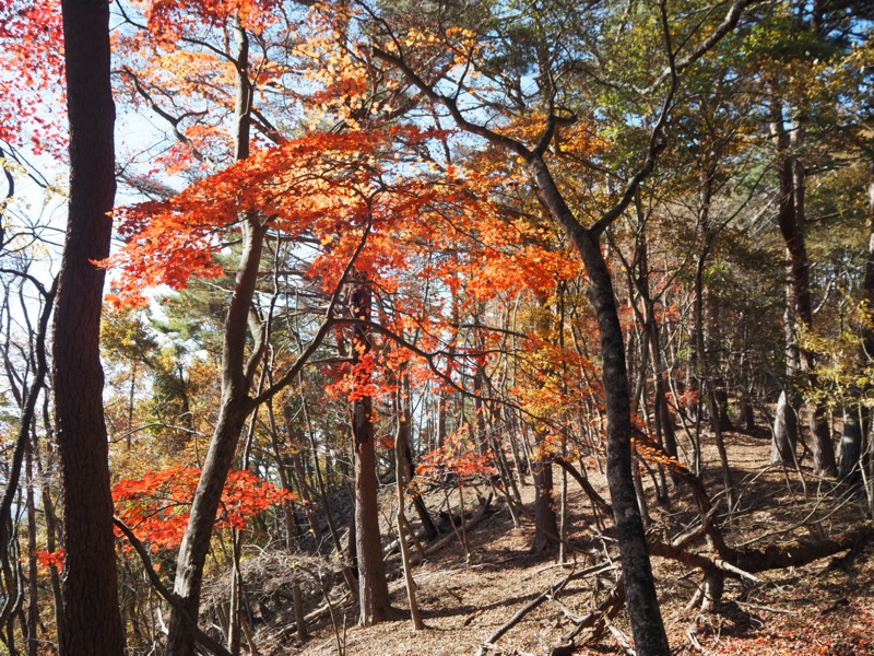 要害山