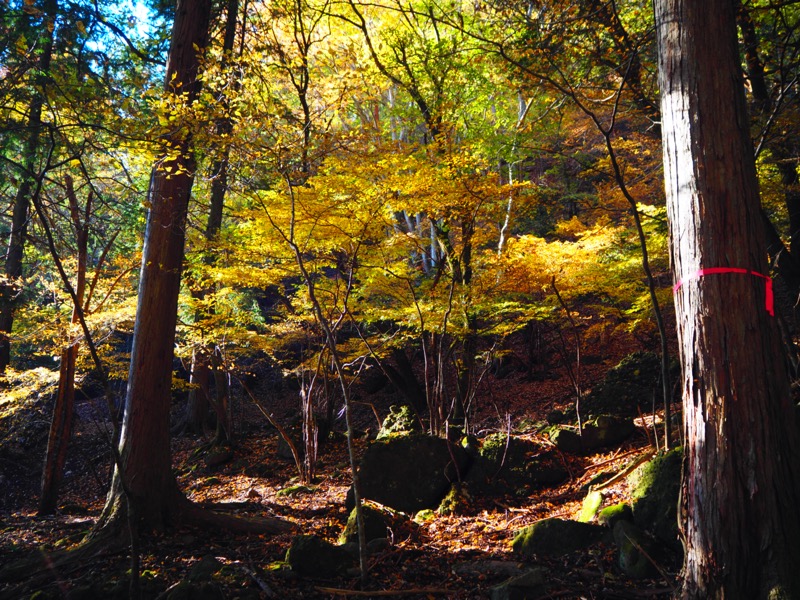 要害山