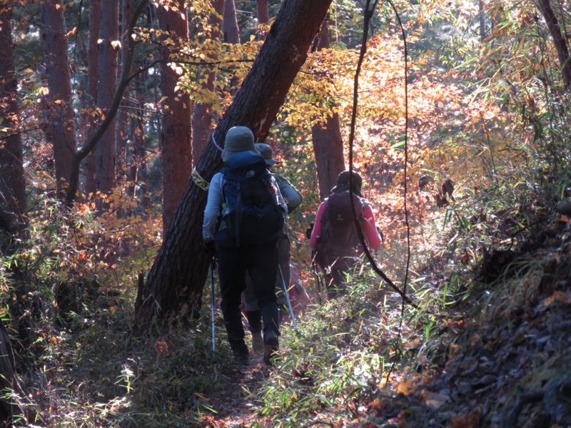 要害山