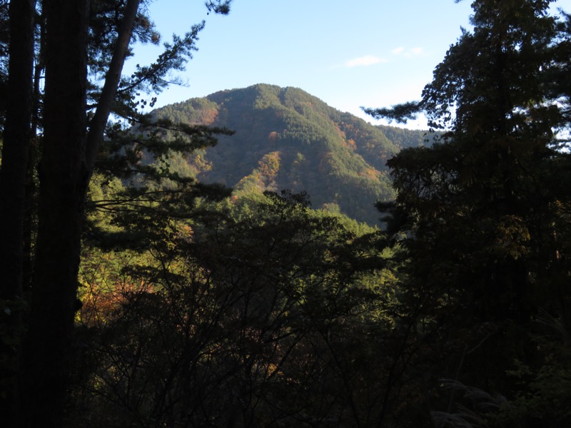 要害山