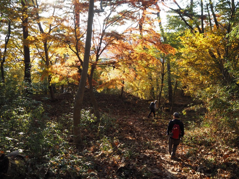 要害山