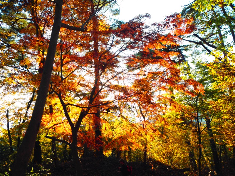 要害山