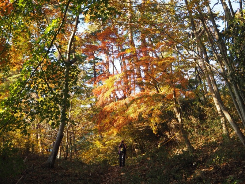 要害山