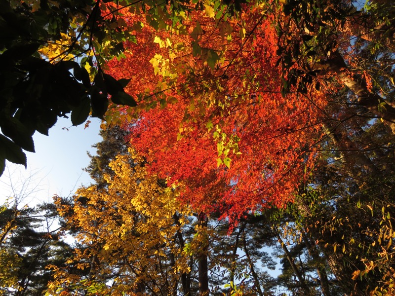 要害山