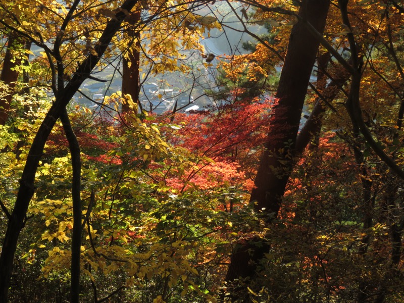 要害山