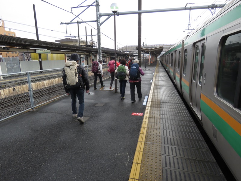 桜山、冬桜、モミジ、サザンカ、ツバキ