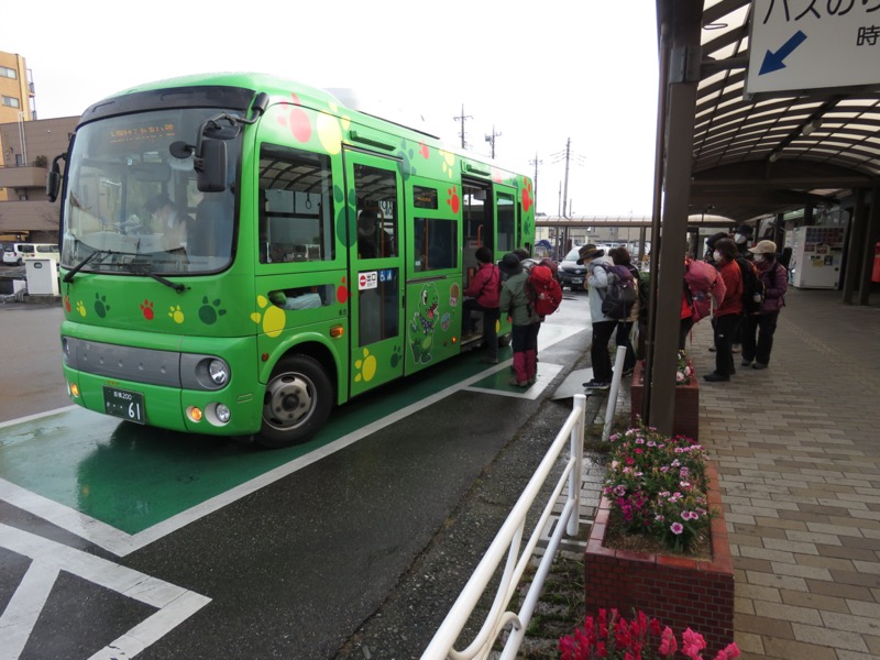 桜山、冬桜、モミジ、サザンカ、ツバキ