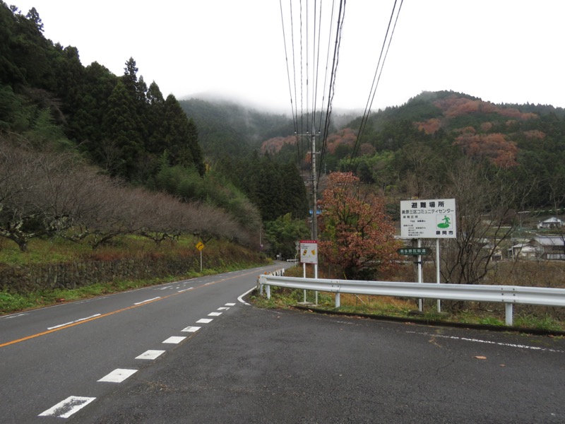 桜山、冬桜、モミジ、サザンカ、ツバキ