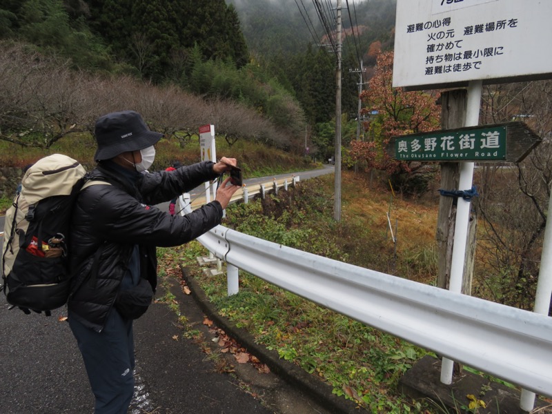 桜山、冬桜、モミジ、サザンカ、ツバキ