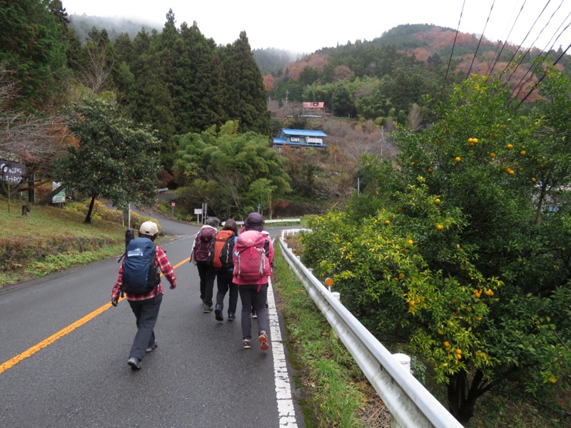 桜山、冬桜、モミジ、サザンカ、ツバキ