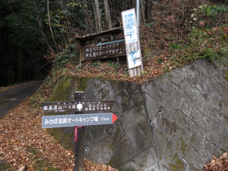 桜山、冬桜、モミジ、サザンカ、ツバキ