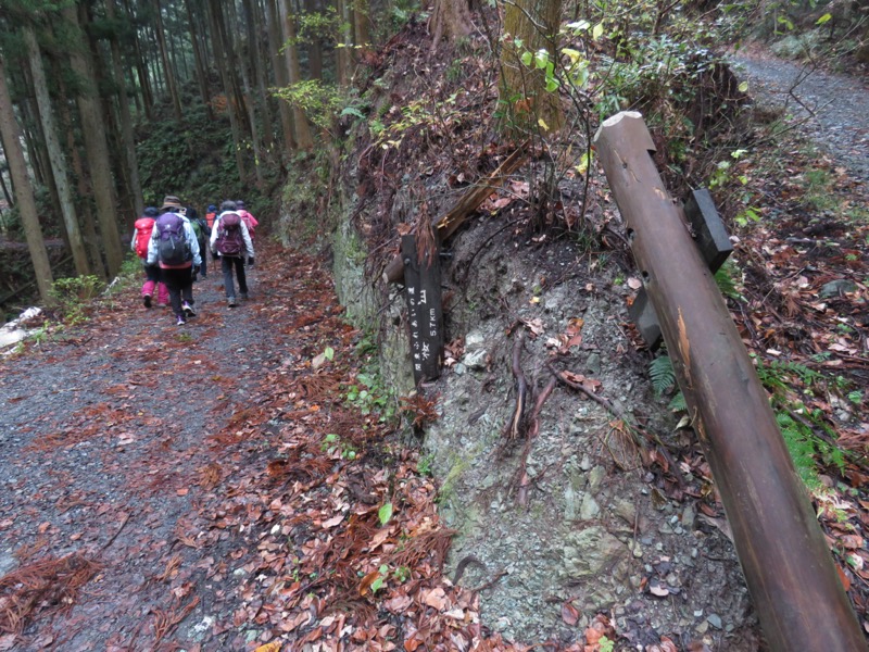 桜山、冬桜、モミジ、サザンカ、ツバキ