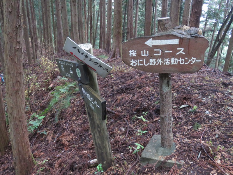 桜山、冬桜、モミジ、サザンカ、ツバキ