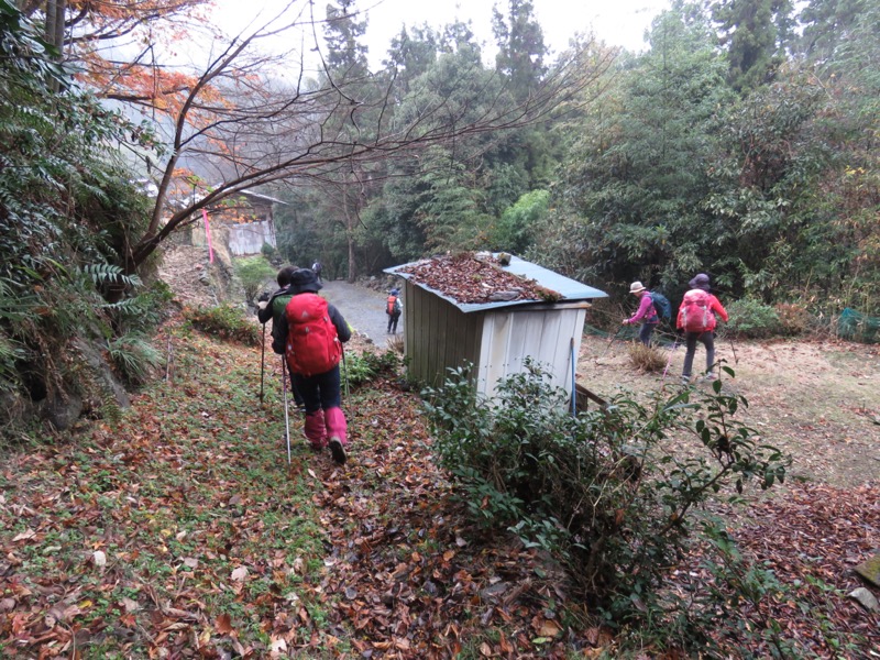 桜山、冬桜、モミジ、サザンカ、ツバキ