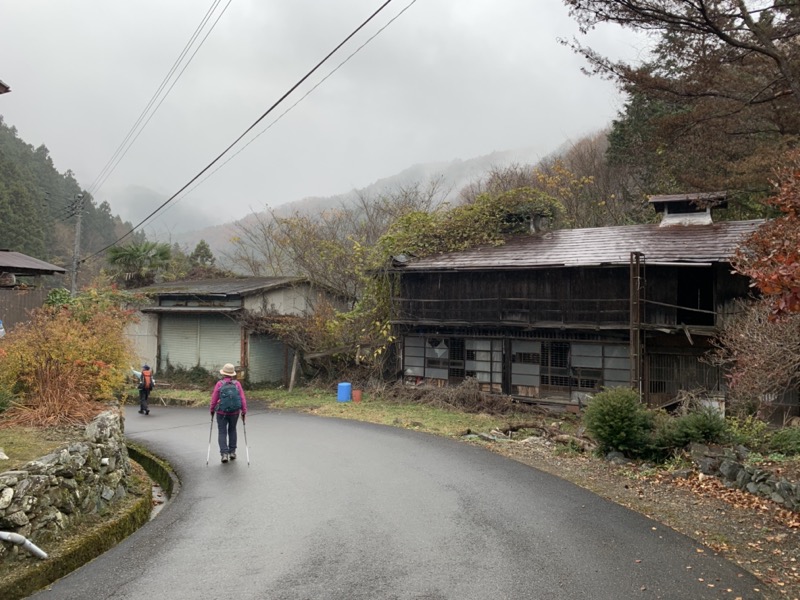 桜山、冬桜、モミジ、サザンカ、ツバキ