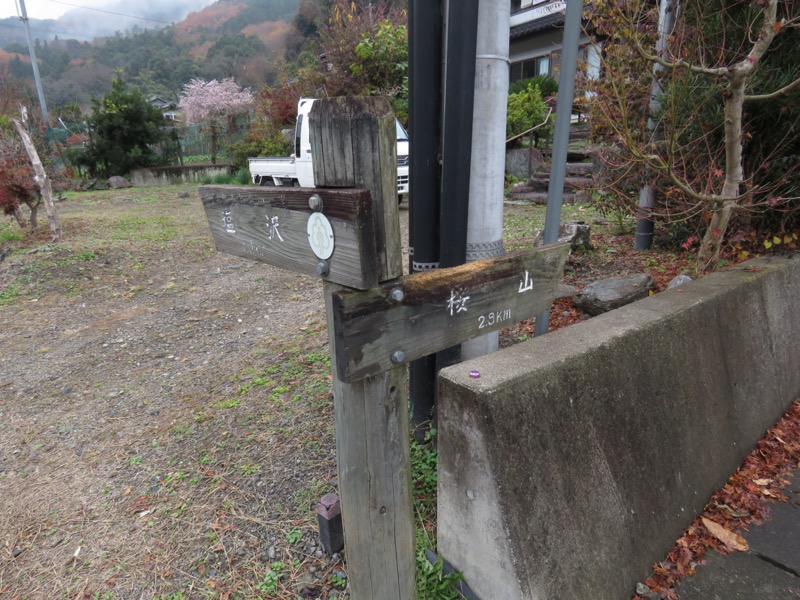 桜山、冬桜、モミジ、サザンカ、ツバキ