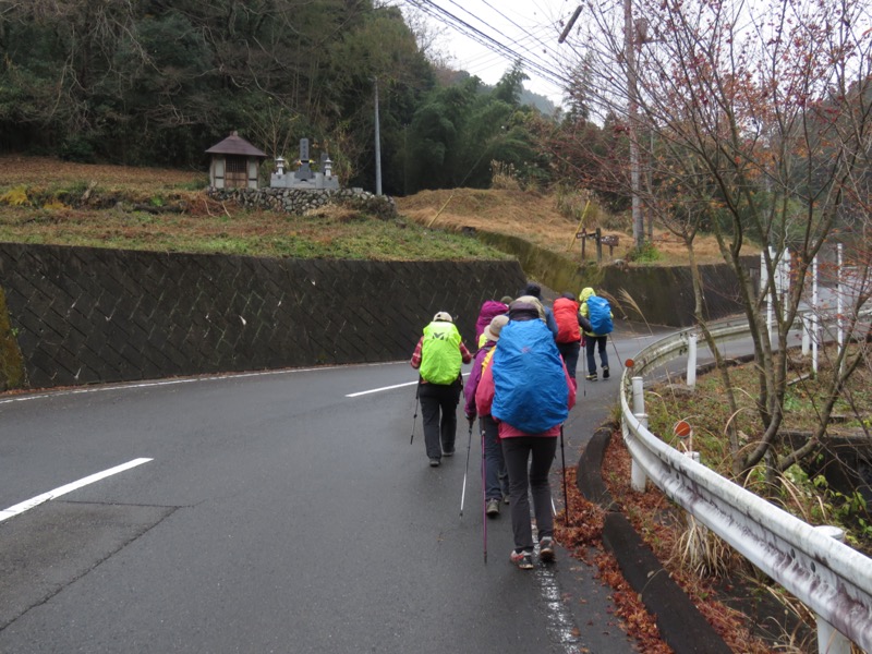 桜山、冬桜、モミジ、サザンカ、ツバキ