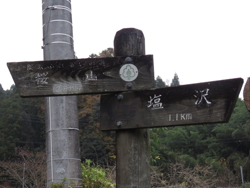 桜山、冬桜、モミジ、サザンカ、ツバキ