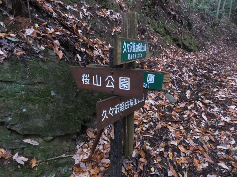 桜山、冬桜、モミジ、サザンカ、ツバキ