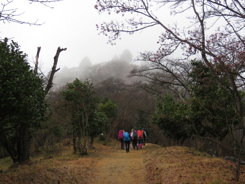 桜山、冬桜、モミジ、サザンカ、ツバキ