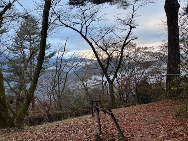 桜山、冬桜、モミジ、サザンカ、ツバキ