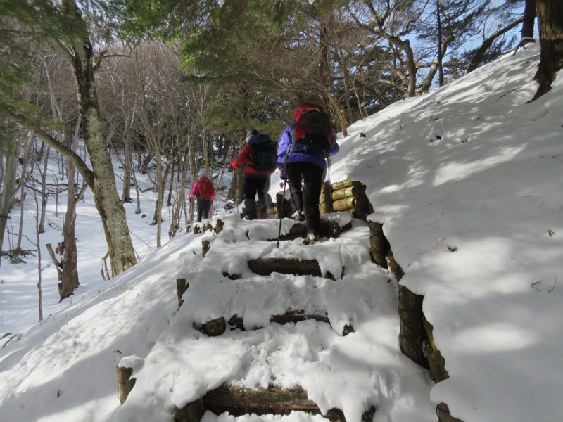 高山