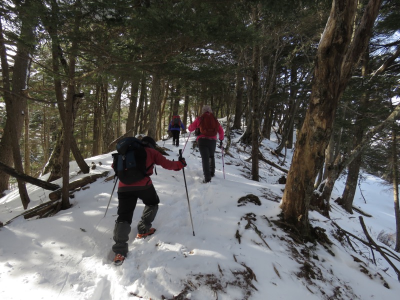 高山