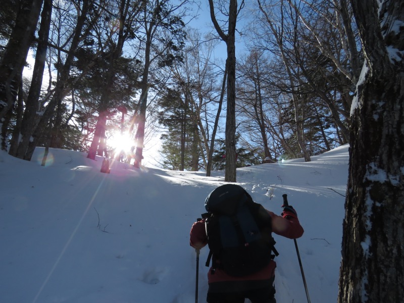 高山