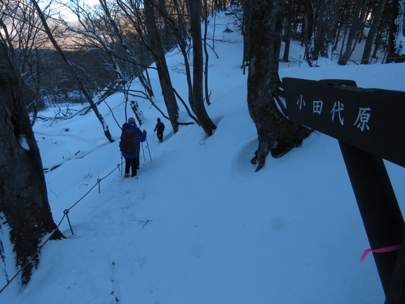 高山