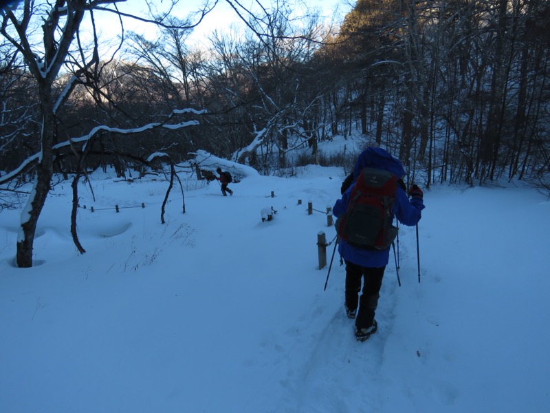 高山